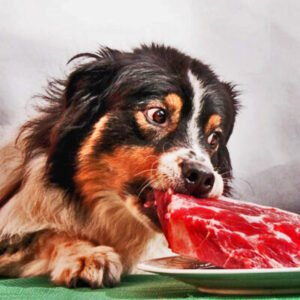 ALIMENTACIÓN