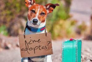 ADOPTAR