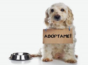 ADOPTAR